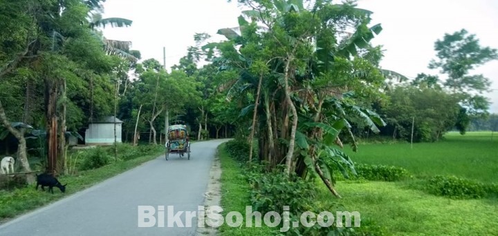 বাড়ি করার উপযোগী ২৮ শতক জমি বিক্রয়